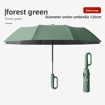 The Ultimate All-Weather Umbrella